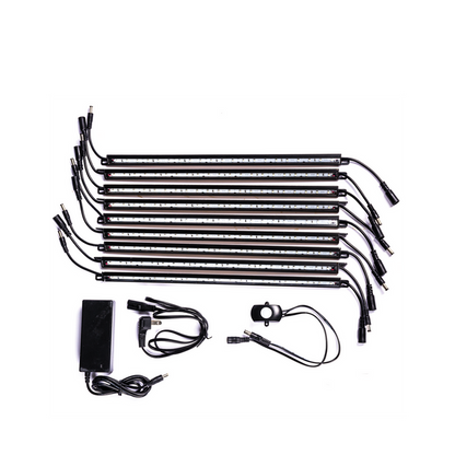 Rhino RSX6030 | 60"H x 30"W x 25"D | 40 Long Gun Safe | 80 Min